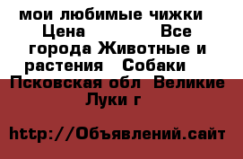 мои любимые чижки › Цена ­ 15 000 - Все города Животные и растения » Собаки   . Псковская обл.,Великие Луки г.